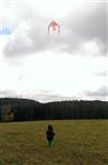 201611031033280000