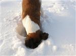 201001231534500000