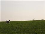 201005231841440000