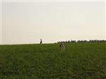 201005231842040000