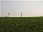 201005231842260000