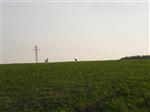 201005231843080000