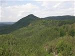 200806071059540000