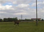 200408281322420000