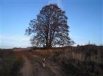 201111141554340000