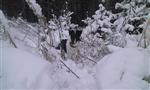 201501061103440000