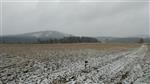 201810280942000002