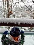 201701141401390001