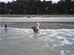 201207061210320000