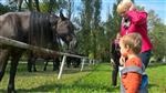 201709081239370000
