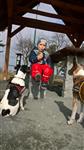 201803101224210001