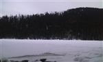 201702031411310000