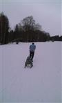201702041609130000